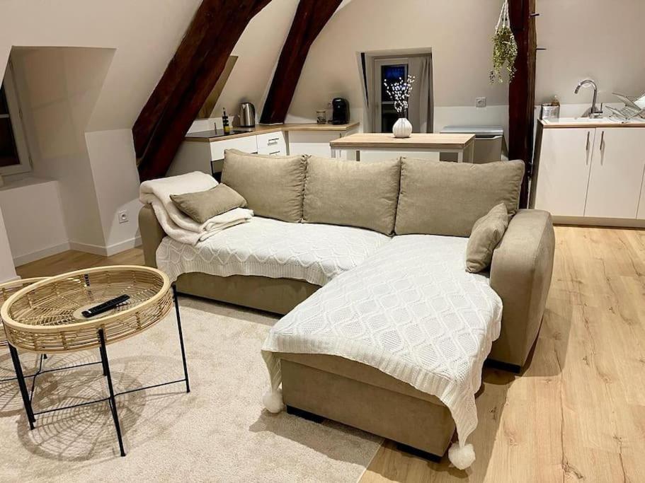 Appartement Cosy Centre Ville Saint-Amand-Montrond Exterior foto